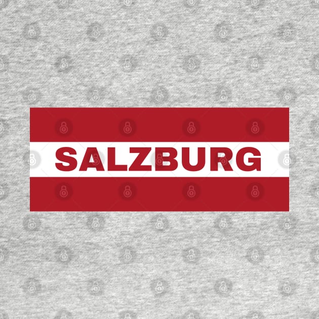 Salzburg City in Austrian Flag by aybe7elf